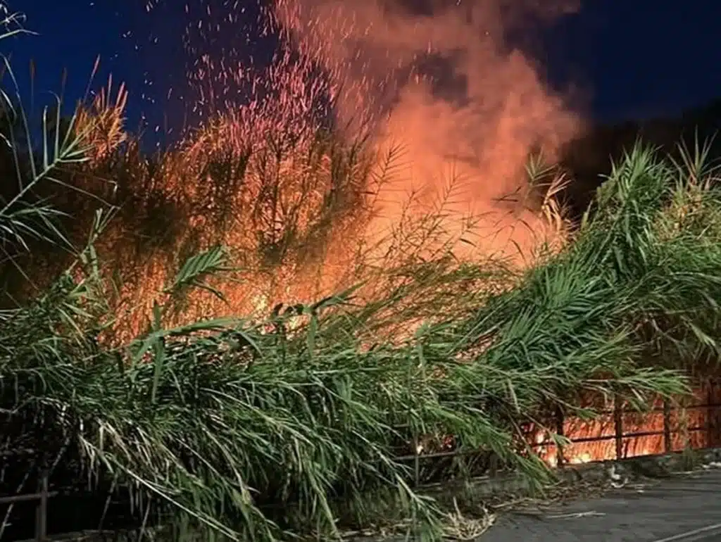 incendio salerno oggi 25 luglio