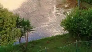 Pastena, irrigatori guasti nella villa comunale: giardini allagati e marciapiedi impraticabili