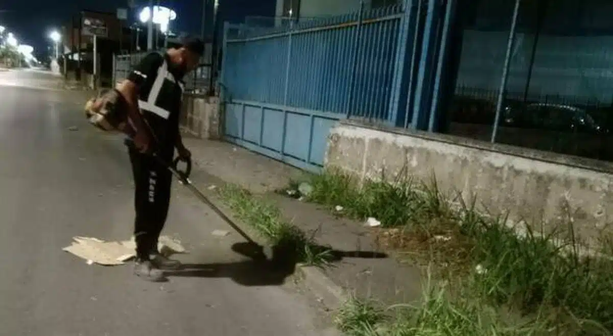 emergenza blatte scafati ispezioni sanzioni ordinanza disinfestazione