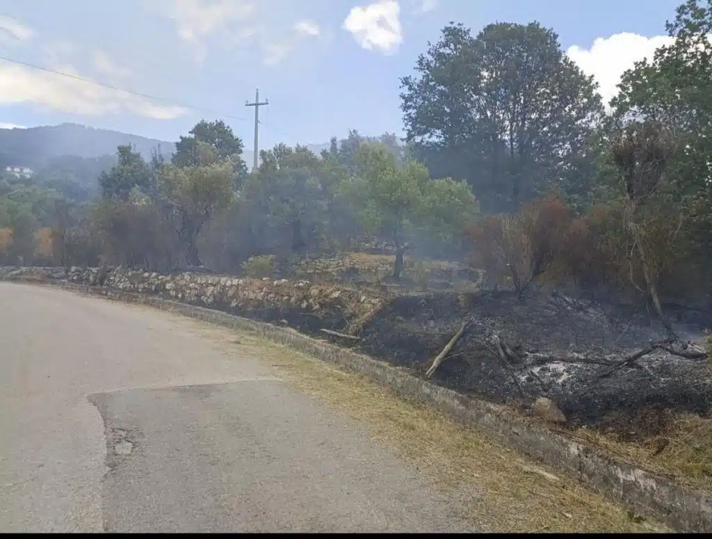 incendio gioi oggi 11 luglio