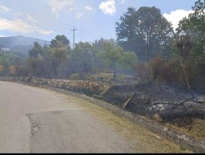 incendio gioi oggi 11 luglio