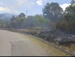 incendio gioi oggi 11 luglio