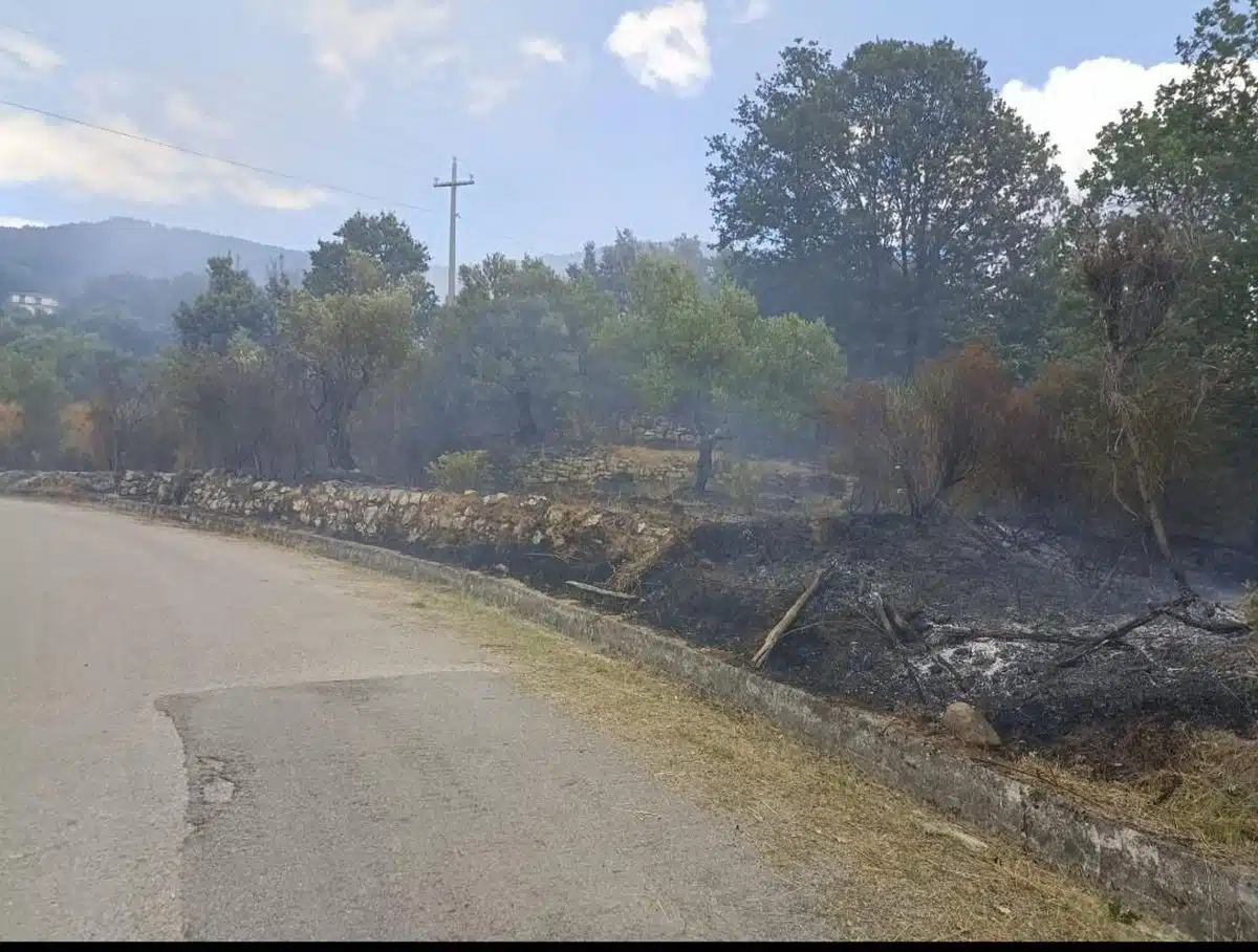 incendio gioi oggi 11 luglio