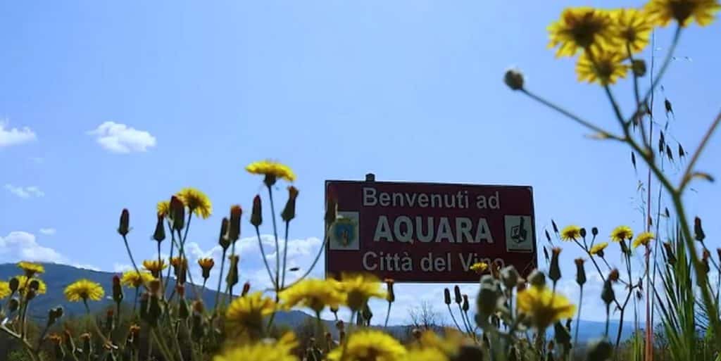 morto renato sorgente annullate celebrazioni festa san lucido aquara