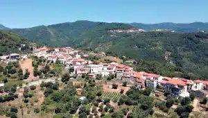 perito panchine artista 21-23 luglio