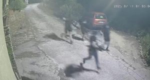 Allarme furti a Castellabate: banda di malviventi messa in fuga da un appartamento