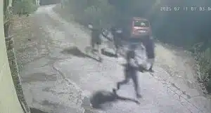 Allarme furti a Castellabate: banda di malviventi messa in fuga da un appartamento