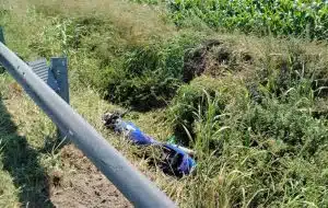 incidente stradale Capaccio