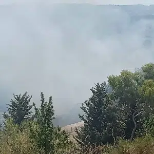 Incendio Crocicchie Agropoli