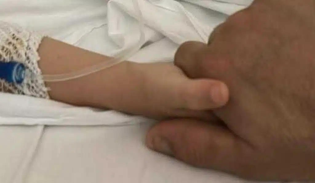 caivano bimbo morso ragno violino nuovo ricovero