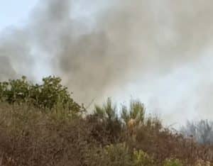 incendio ascea oggi 25 luglio