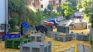 Mercogliano, carico di albicocche si riversa sulla strada: disagi al traffico e intervento dei Vigili del Fuoco
