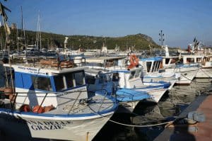 marina camerota canto lampare