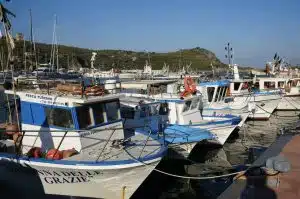 marina camerota canto lampare