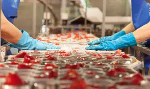 Campania indagine imprese