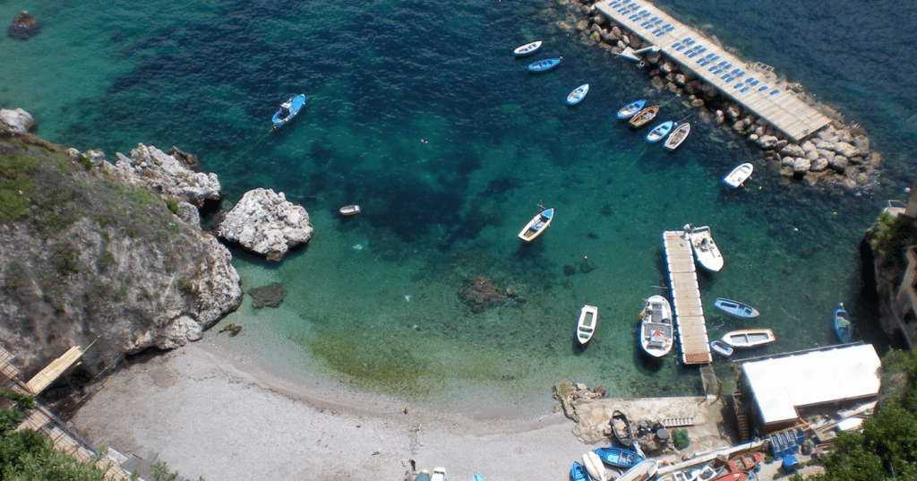 foca monaca Conca Marini
