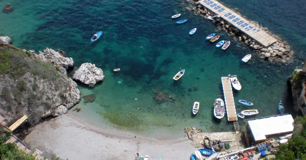 foca monaca Conca Marini