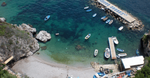 foca monaca Conca Marini