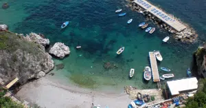 foca monaca Conca Marini
