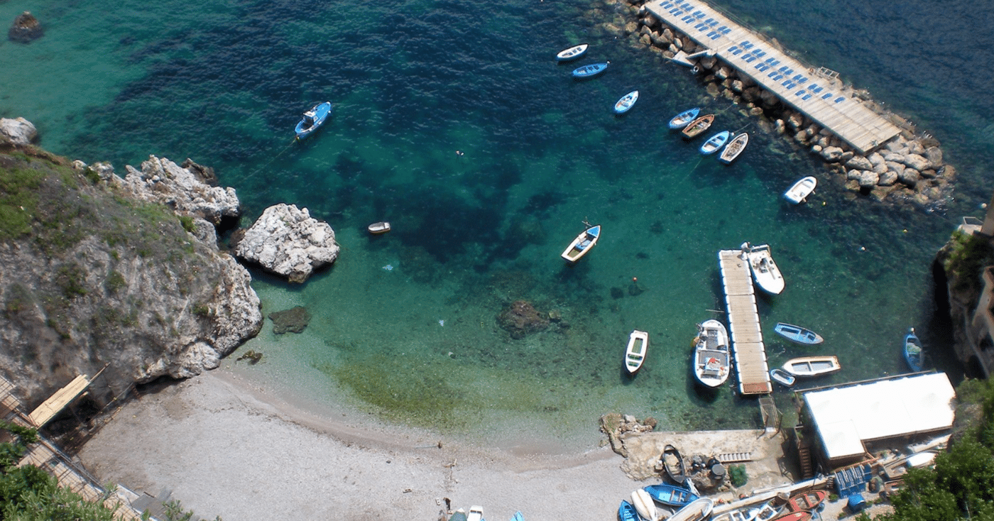 foca monaca Conca Marini