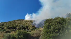 Incendio Pisciotta