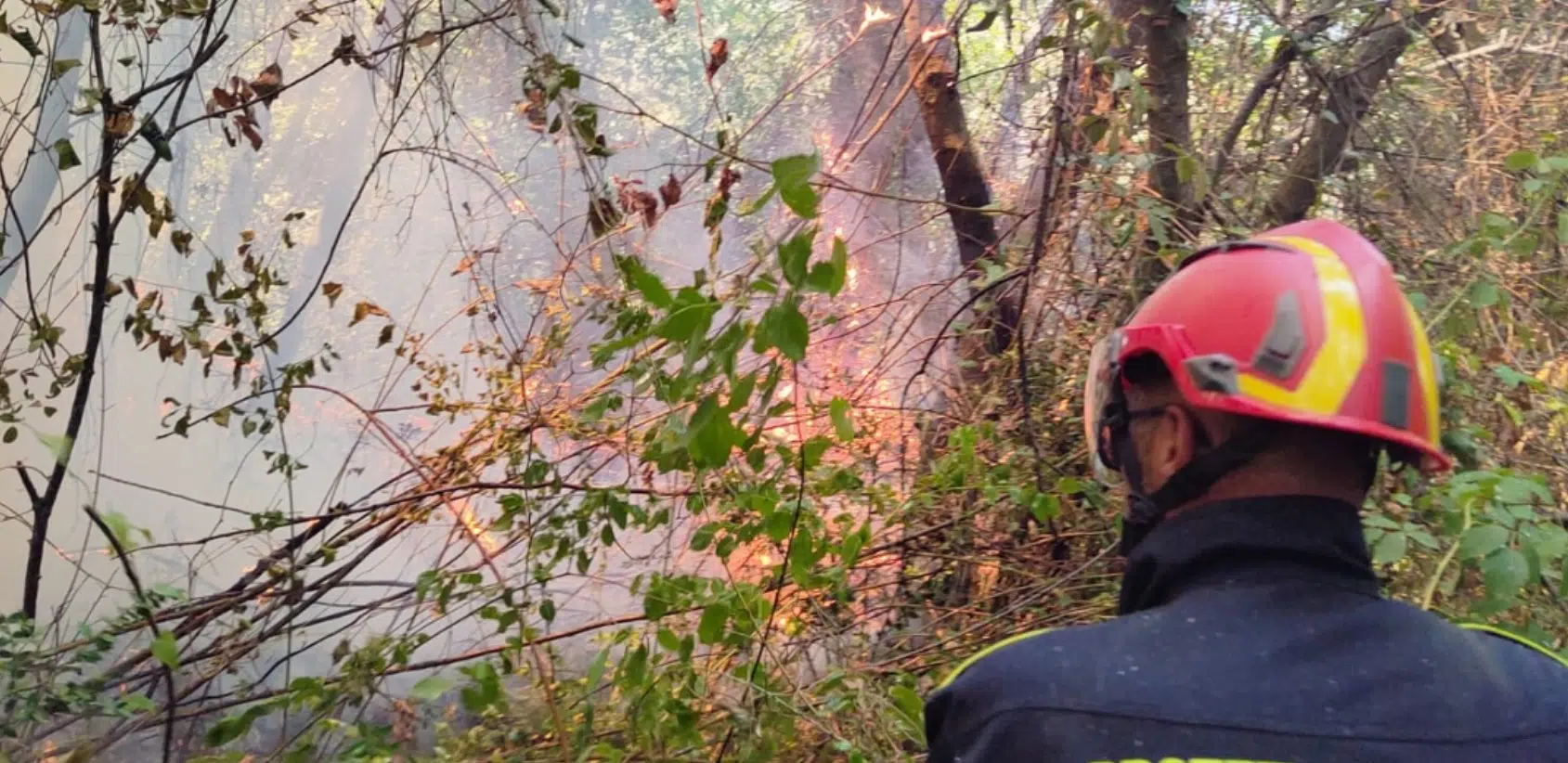 Giffoni incendio Macchia
