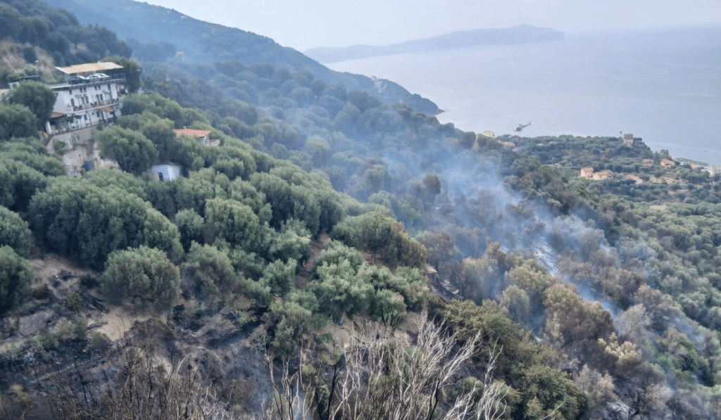Incendio Pisciotta