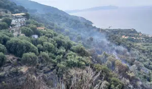 Incendio Pisciotta