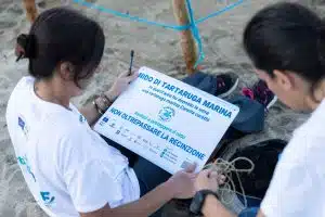 caretta caretta cilento nidificazione
