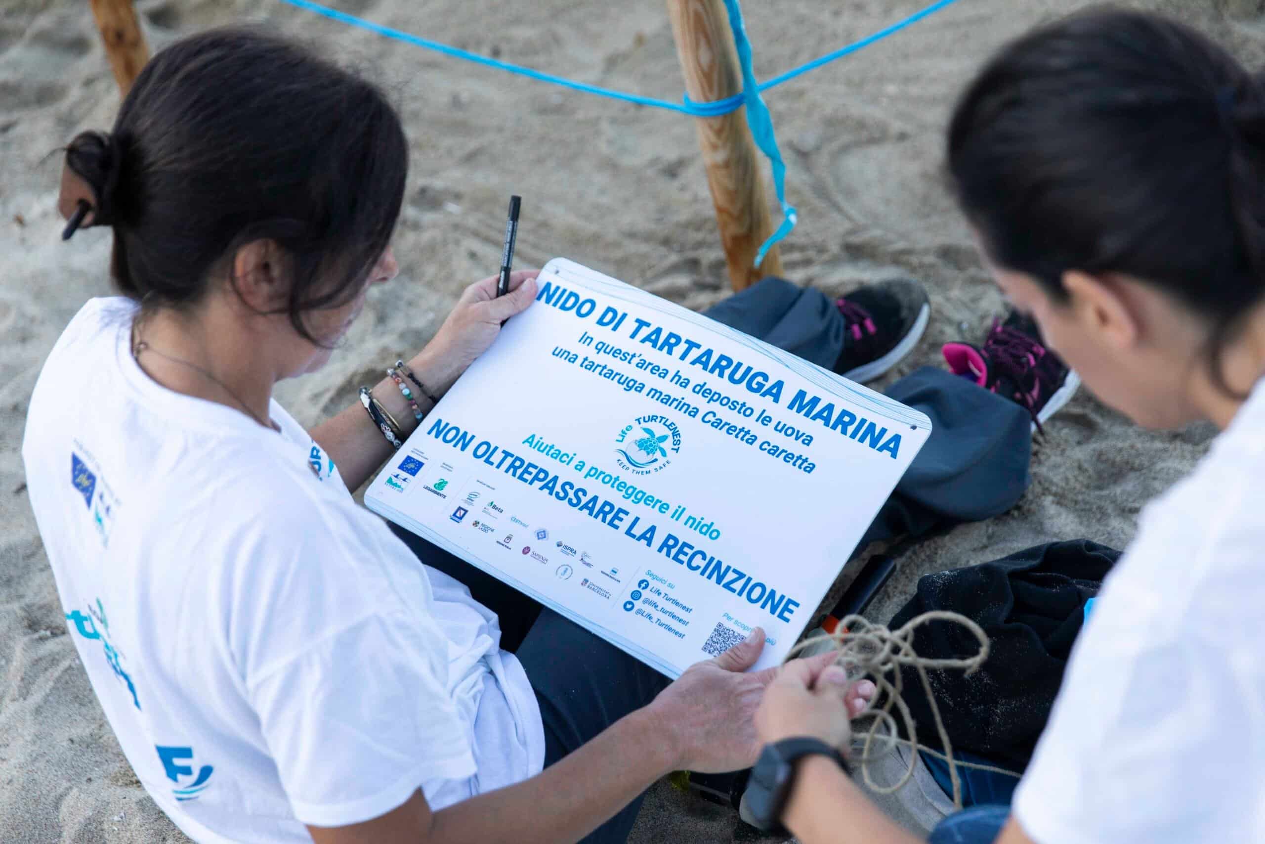 caretta caretta cilento nidificazione