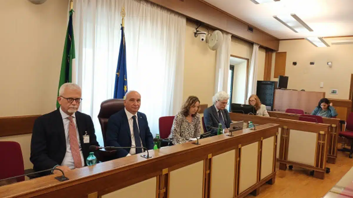 sistema cilento omicidio vassallo audizione borrelli commissione antimafia