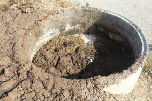 Capaccio Paestum, operazioni congiunte contro i reati ambientali: denunciati imprenditore agricolo e titolare di caseificio