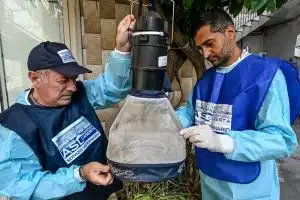 Caserta, intensificata la sorveglianza contro la zanzara Culex: scattano i controlli nei comuni colpiti dal virus West Nile