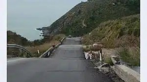 Lavori Ascea Pisciotta