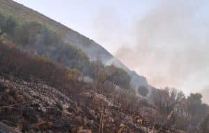 incendio lentiscosa camerota 15 luglio