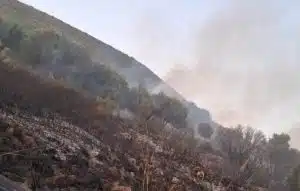 incendio lentiscosa camerota 15 luglio