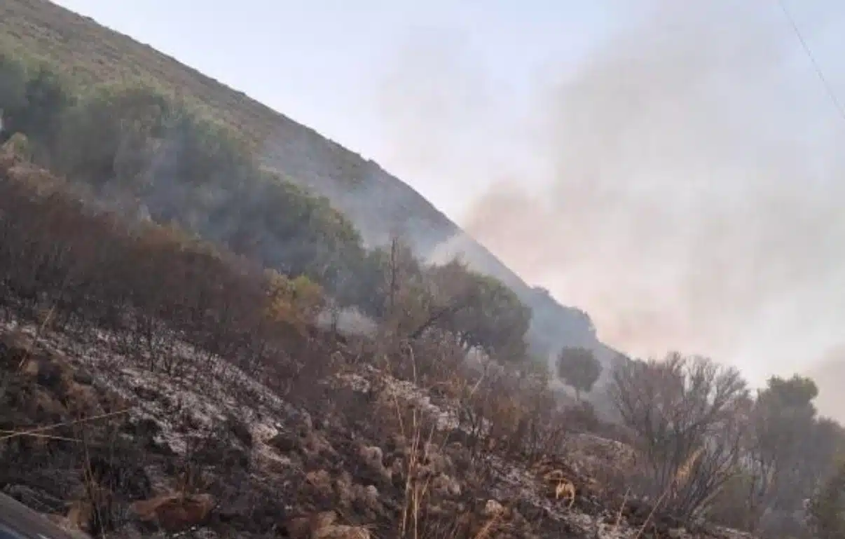 incendio lentiscosa camerota 15 luglio