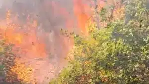 incendio mercato san severino 6 luglio