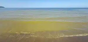 emergenza mare capaccio paestum