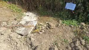 capaccio paestum illecito smaltimento rifiuti denunciati