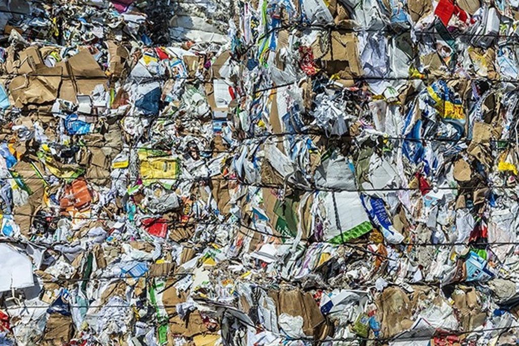 campania raccolta carta cartone dati 2025