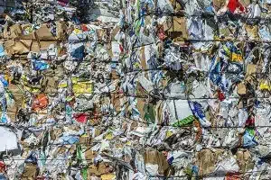 campania raccolta carta cartone dati 2025