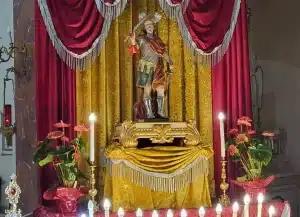 camella perdifumo san nazario