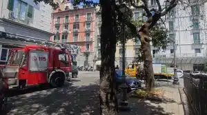 salerno caduta albero 2 luglio