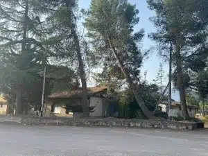 san rufo pino masseria progetto rilancio