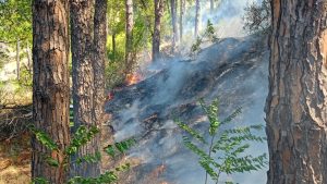 incendio castel san giorgio sarno 8 agosto