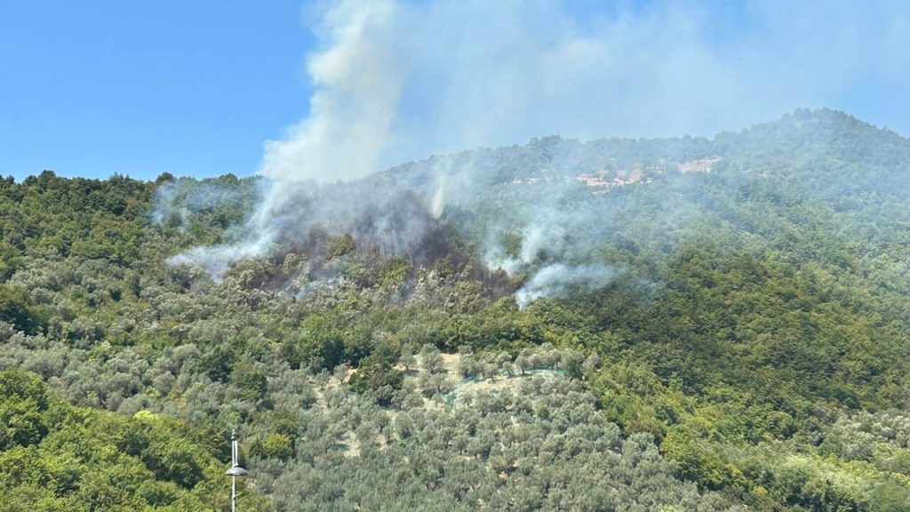 Incendio Monte Cuculo Giffoni