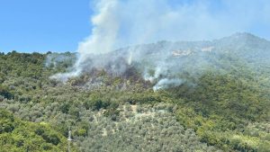 Incendio Monte Cuculo Giffoni