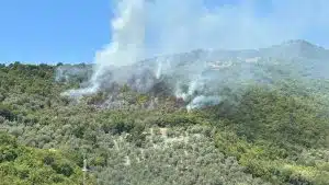 Incendio Monte Cuculo Giffoni