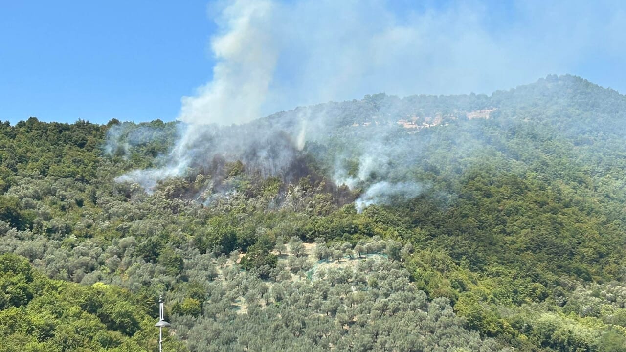 Incendio Monte Cuculo Giffoni